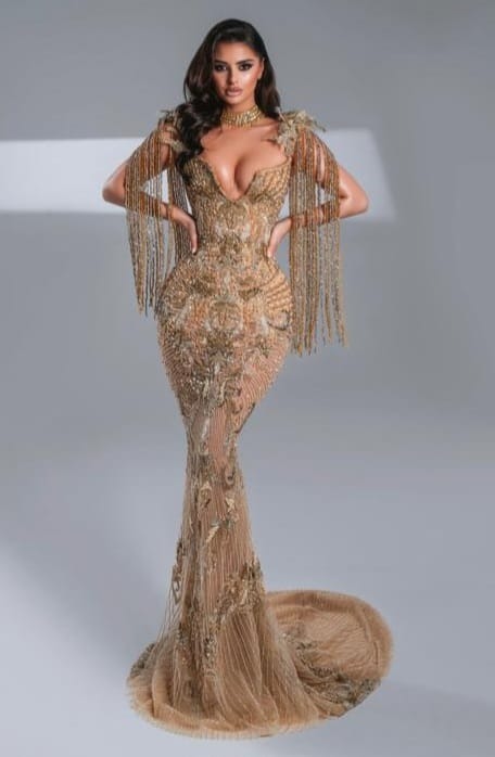 Ladies Dress